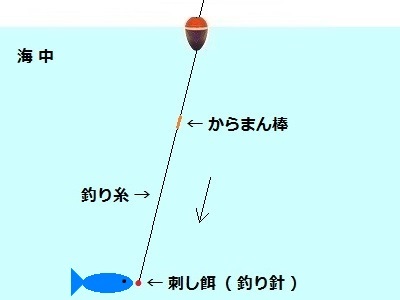 「 チヌ ( 黒鯛 ) 釣り入門 」 0847