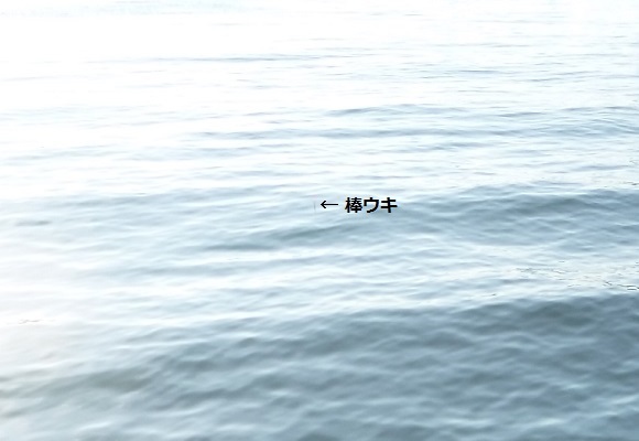 「 チヌ ( 黒鯛 ) 釣り入門 」 0949