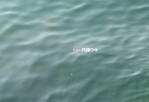 「 チヌ ( 黒鯛 ) 釣り入門 」 1383