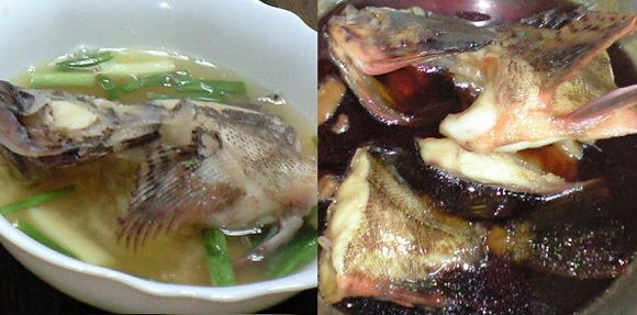 魚料理レシピ カサゴ ガシラ アラカブの味噌汁と煮付けの作り方 チヌ 黒鯛 釣り入門