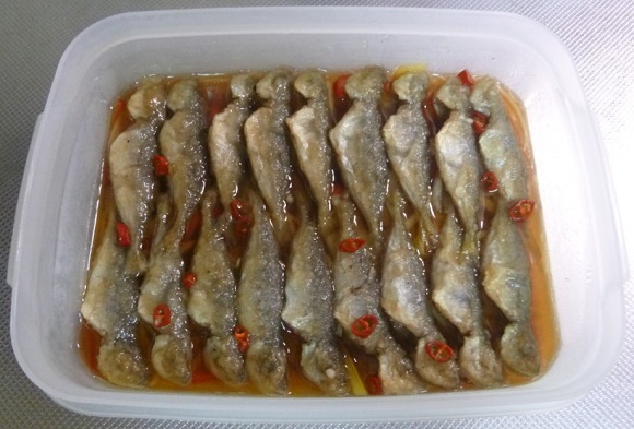 小アジ 豆アジ の人気魚料理レシピ 三杯酢や南蛮漬けの作り方 チヌ 黒鯛 釣り入門