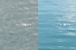 チヌ釣りの道具「 円錐ウキと棒ウキのメリットとデメリットの比較 」.jpg