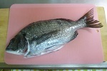 魚料理の基礎知識「 鮮魚が生臭くなる理由や原因成分と臭いの取り方 」.jpg