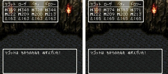 ドラゴンクエストV そして伝説へ... 謎の洞窟 ちからのたね 2.jpg