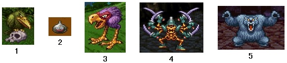 ドラゴンクエストV そして伝説へ… すばやさのたね.jpg